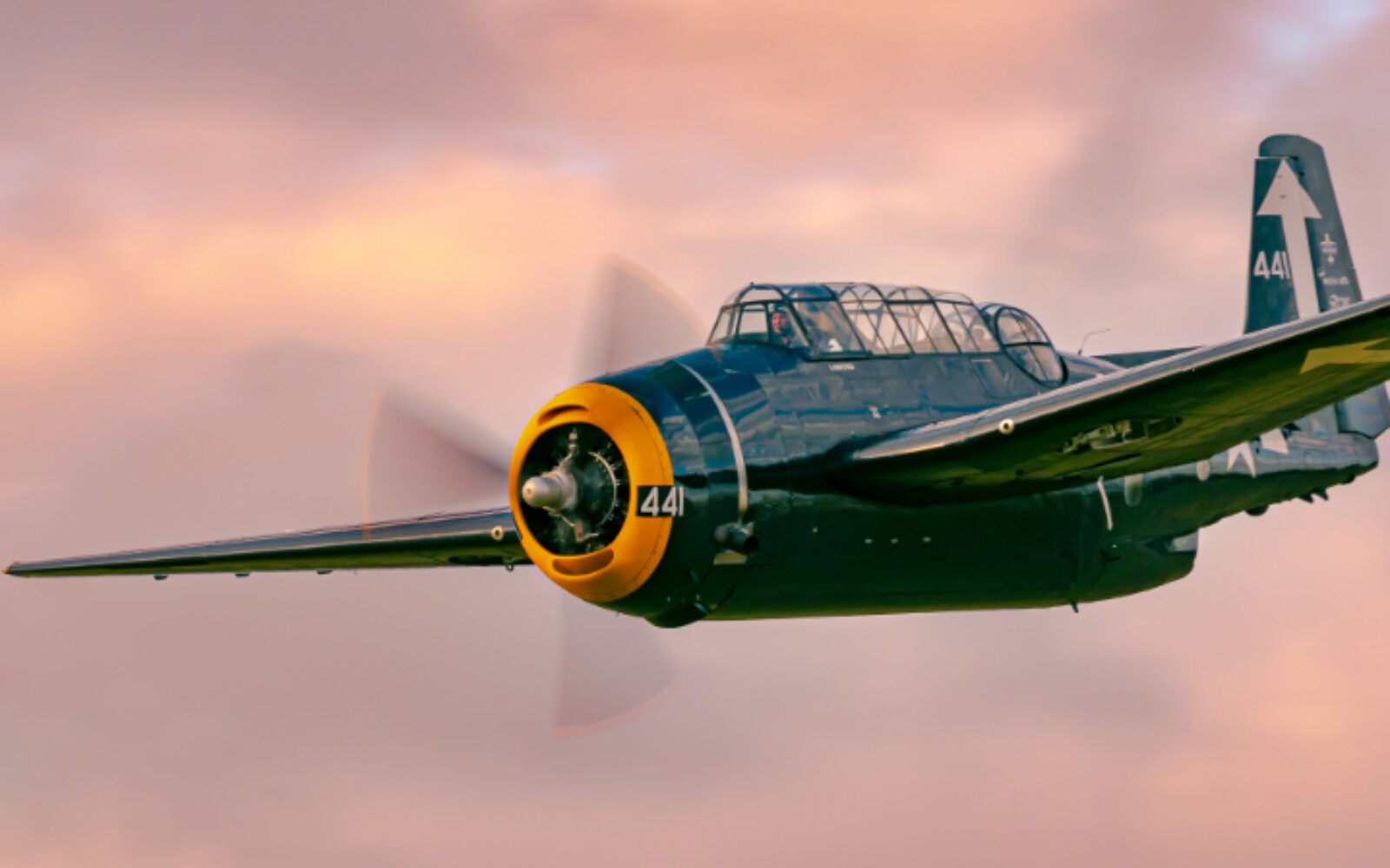 LOUD AND THUNDERING WARBIRDS