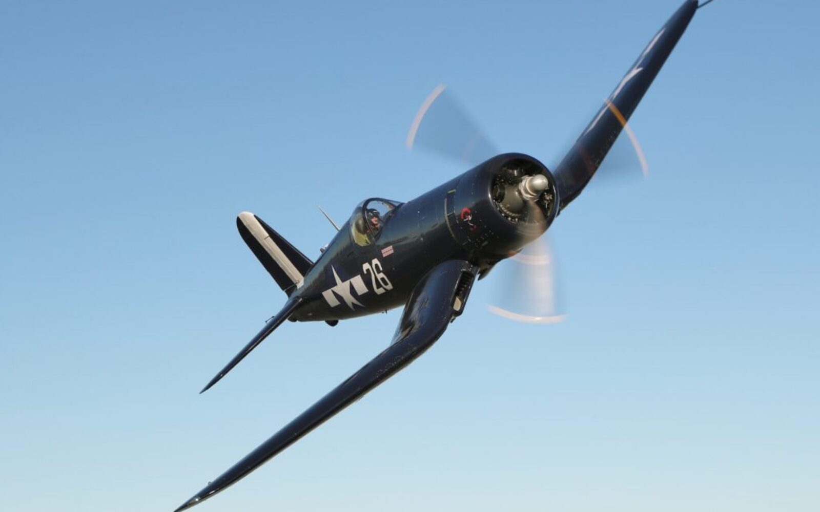 F4U-1D CORSAIR DEBUT DISPLAY!