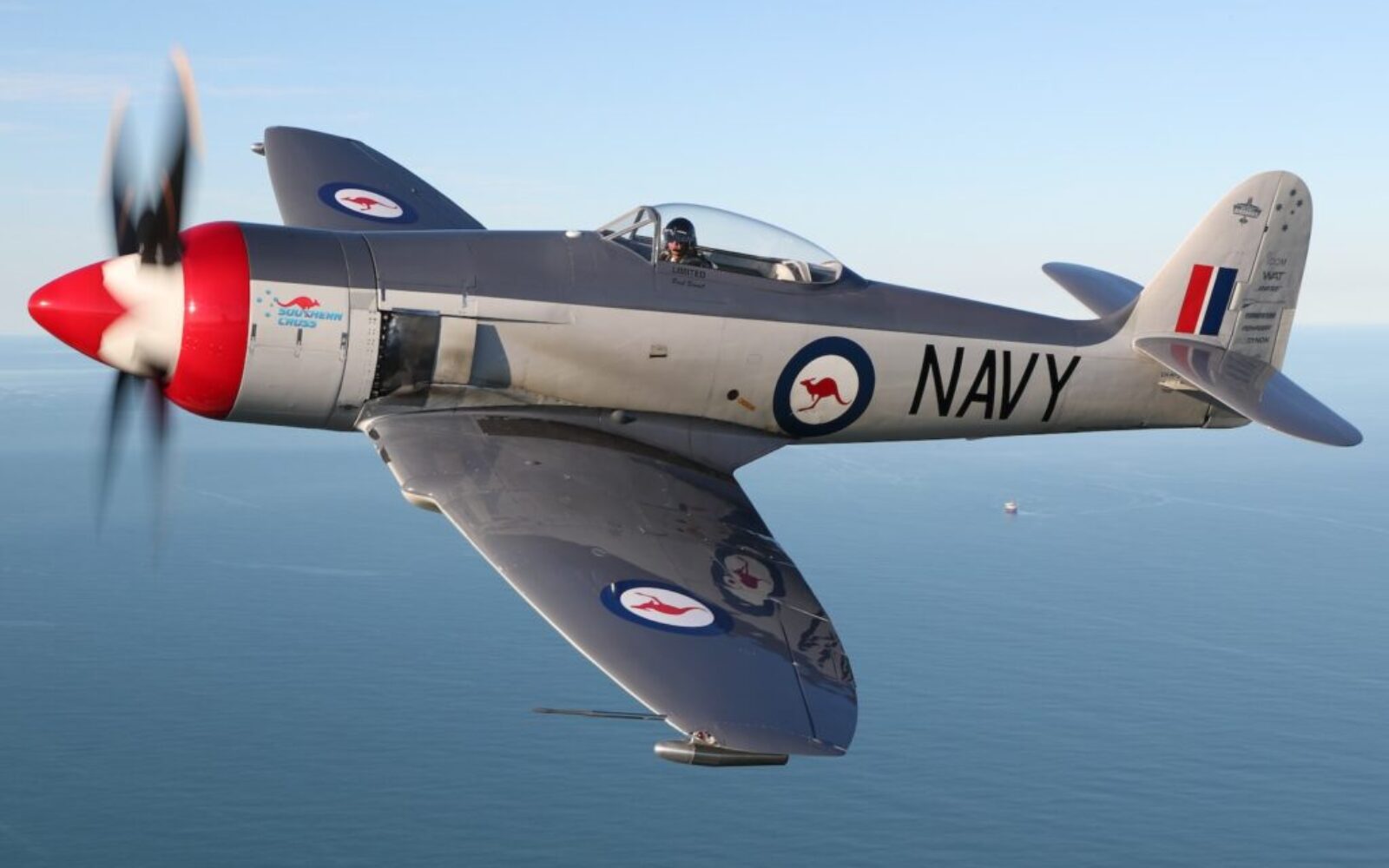 ONLY FLYING SEA FURY IN AUS!